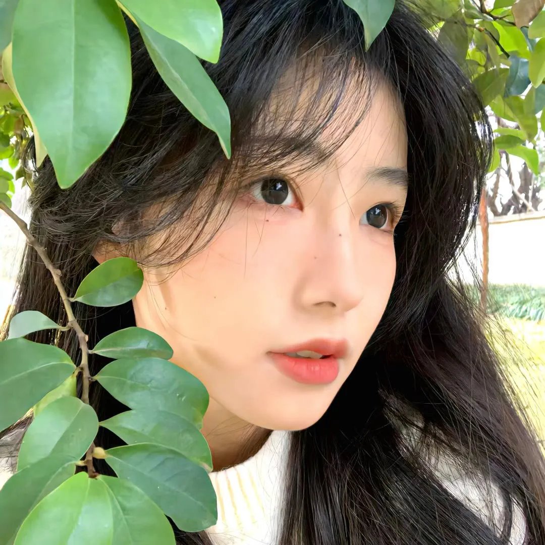 剧终集封面